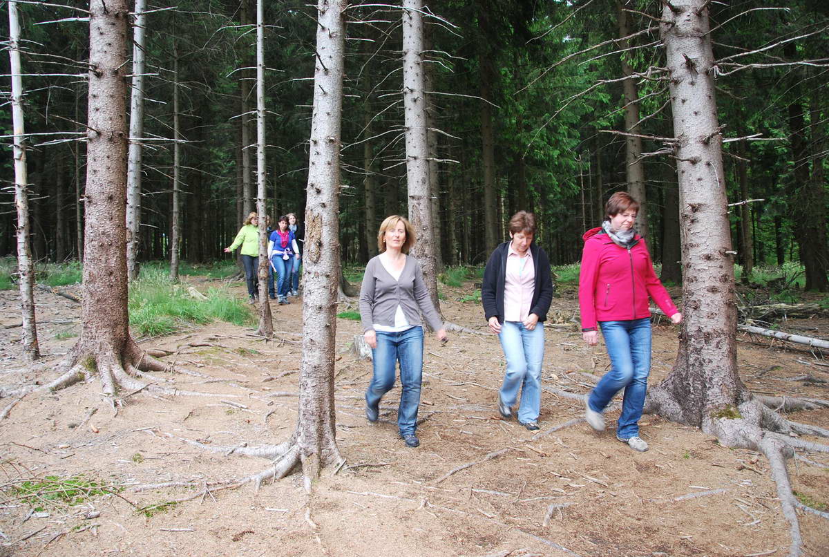 2012-06-10 Hohenroth 096.jpg
